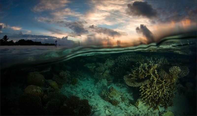 было_дело Однажды вечеромphoto preview