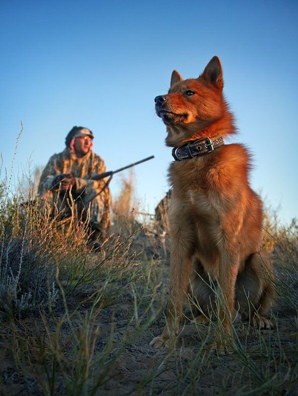 ЖДЁМССС ...photo preview