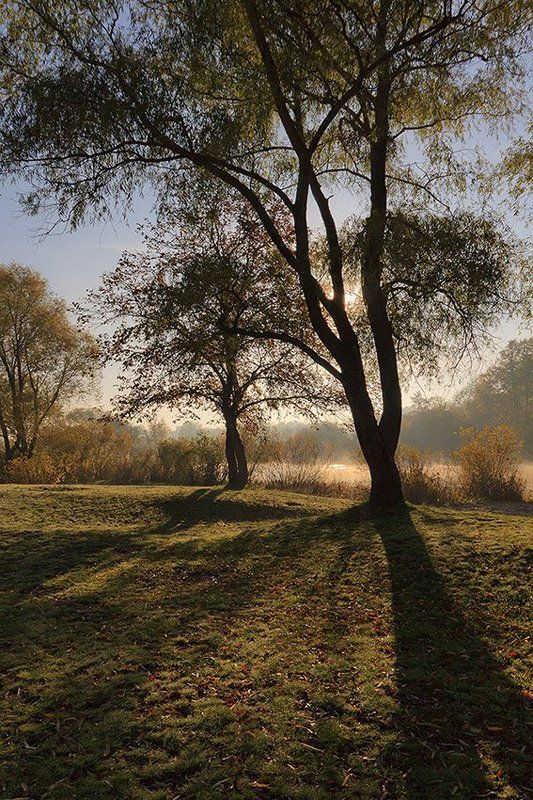 утро, восход, осень, солнце Осеннее  утроphoto preview