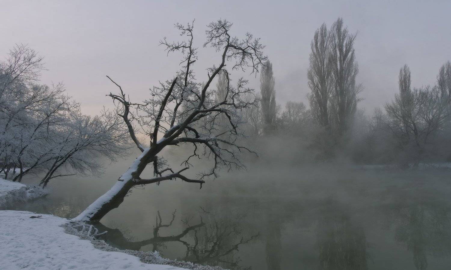 БЕЗМОЛВИЕ. Автор: ФЁДОР город, парк, зима река кубань, ФЁДОР