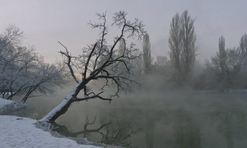 город, парк, зима река кубань БЕЗМОЛВИЕphoto preview