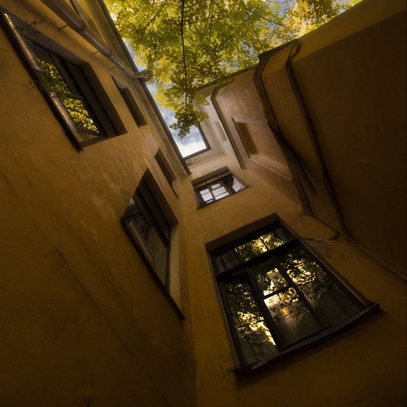 окнаphoto preview