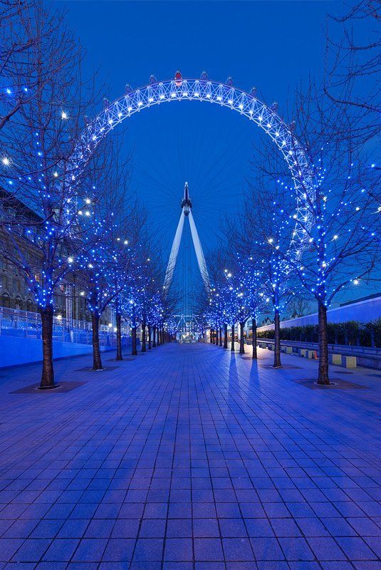 london, london eye, winter, blue hour, англия, лондон London Eyephoto preview