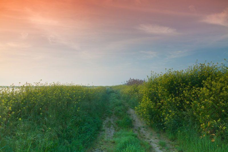 Рассвет.photo preview