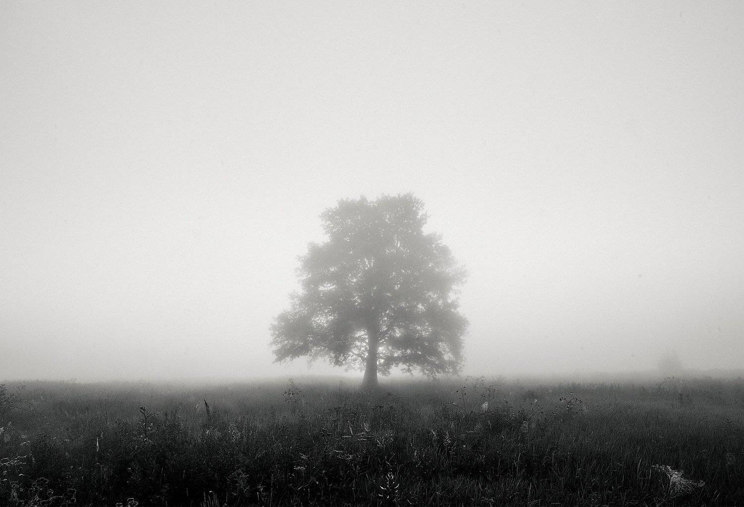 Ожидание. Автор: Илья Мусатов , Илья Мусатов