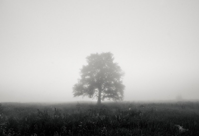 Ожиданиеphoto preview