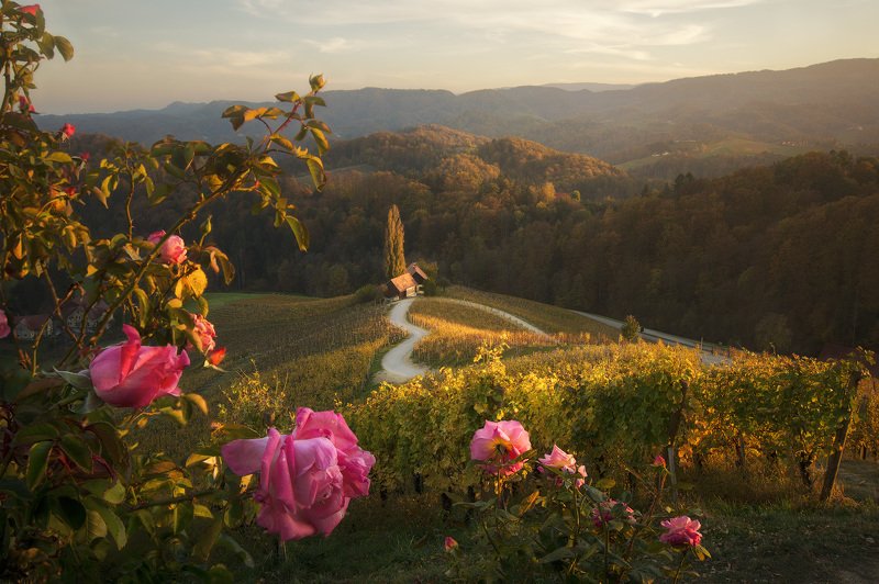 Словенияphoto preview