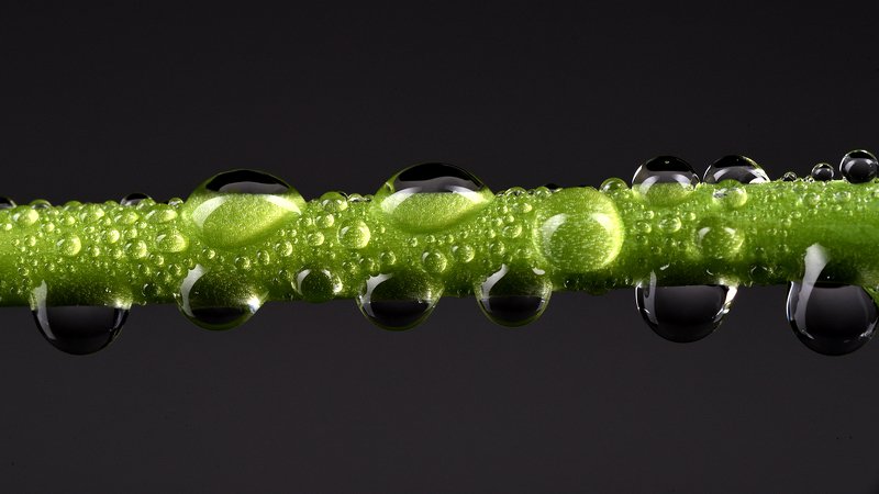 живительная влага, капли Живительная влагаphoto preview