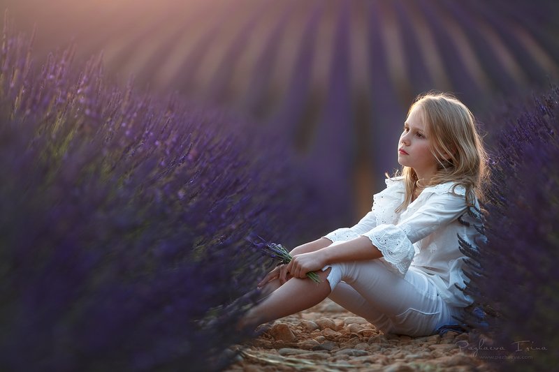 Вечер в Провансеphoto preview