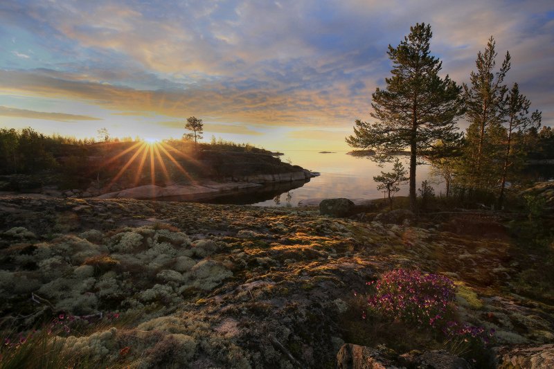 карелия, ладожские шхеры, ладога, рассвет Утро на Ладожском озере фото превью