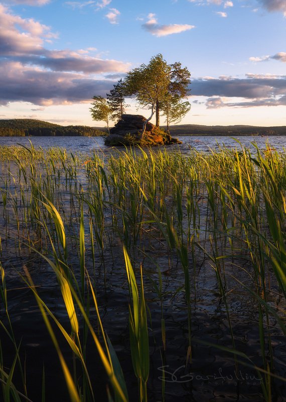 Таватуй, отсров, бонсай, озеро, Средний Урал, Урал Дрейфующий островphoto preview
