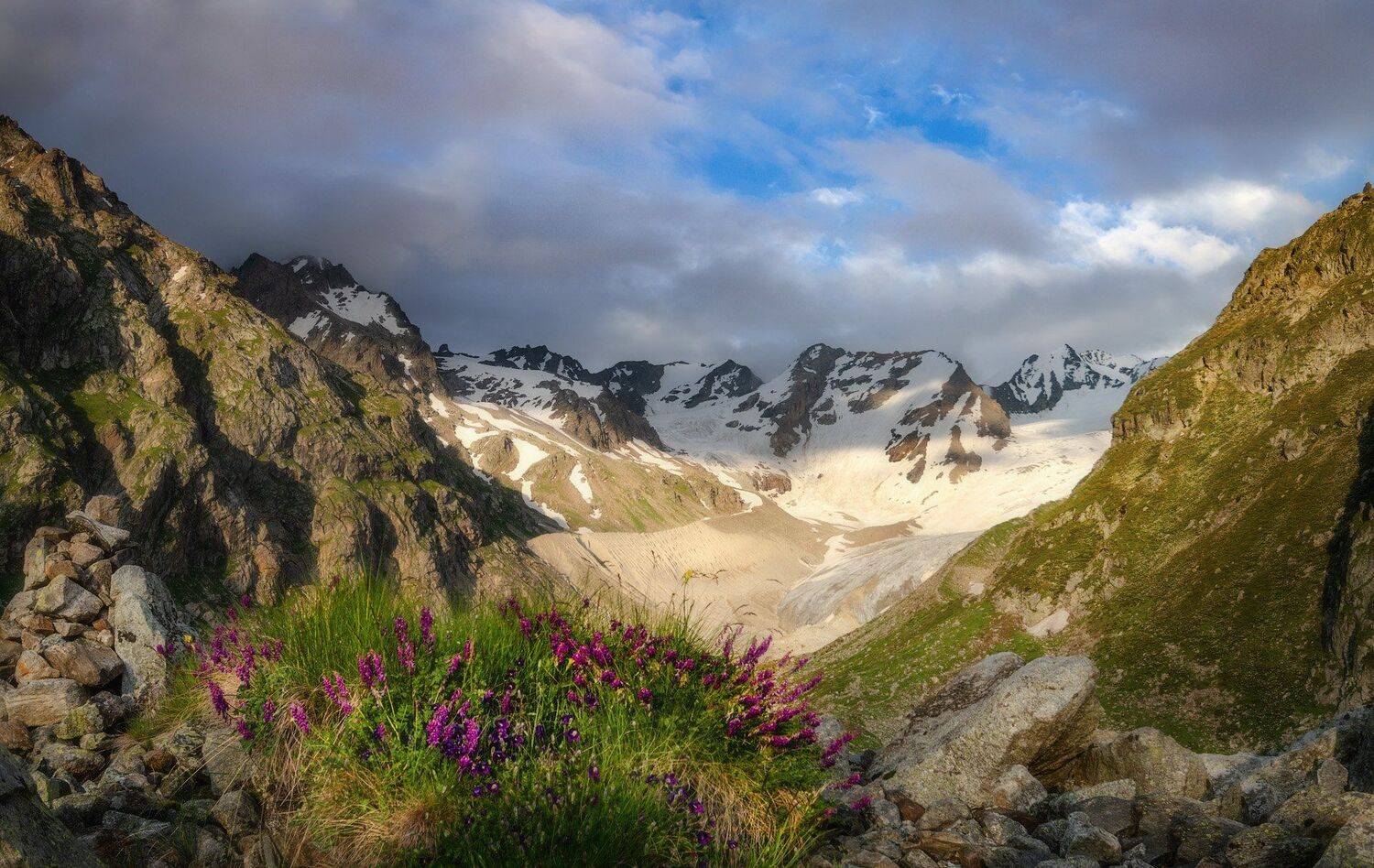 Клумбочка. Автор: Шевченко Юрий , Шевченко Юрий