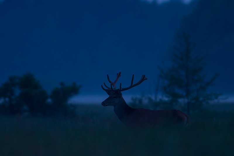 Po zmierzchu photo preview