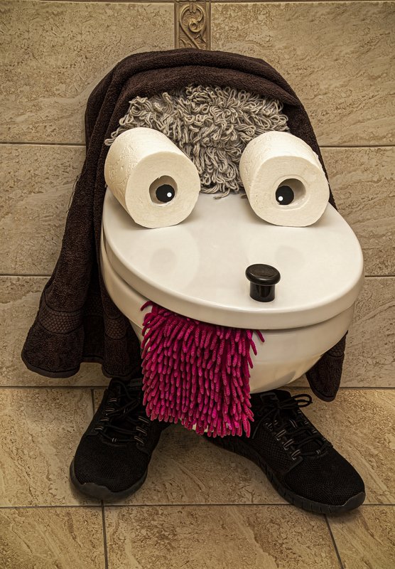 Ваттер клозетто спаниельphoto preview