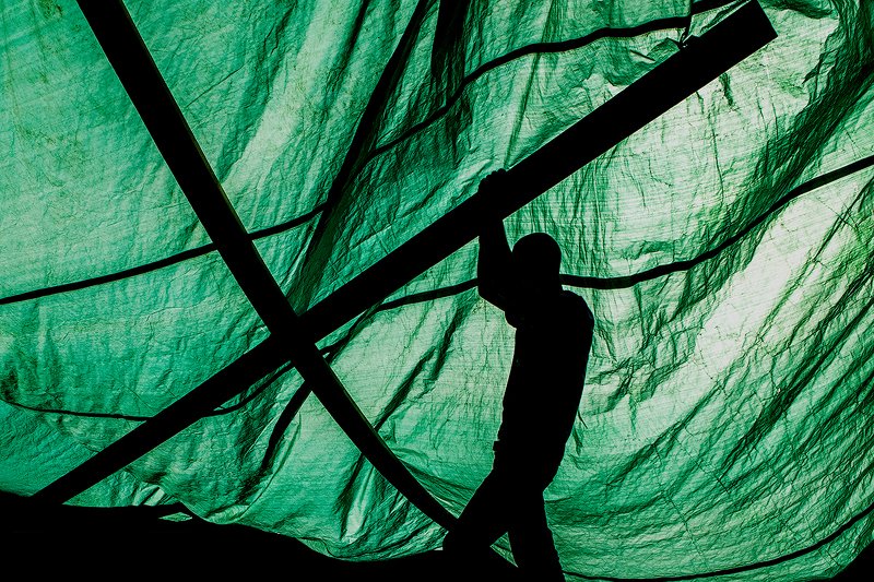 zebrophoto  art silhuette  photo preview