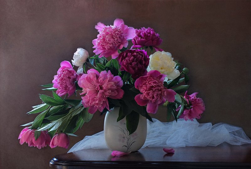 Цветы пионы, драпировка Пионов нежный аромат.photo preview