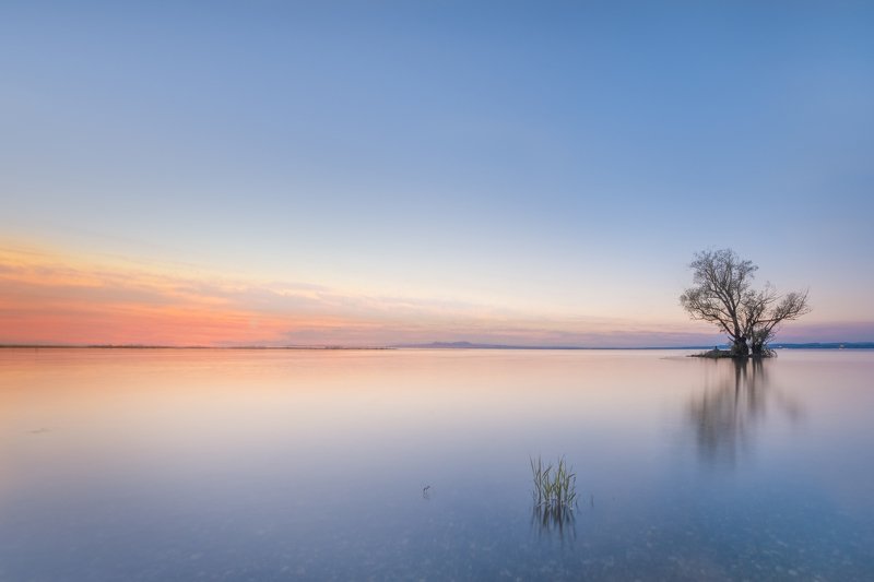 lake,boden lake,long exposure,tree,sunset,svwitzerland,bank sunset on the lakephoto preview