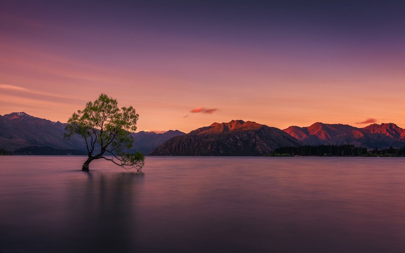 Portfolio 2017-2019photo preview