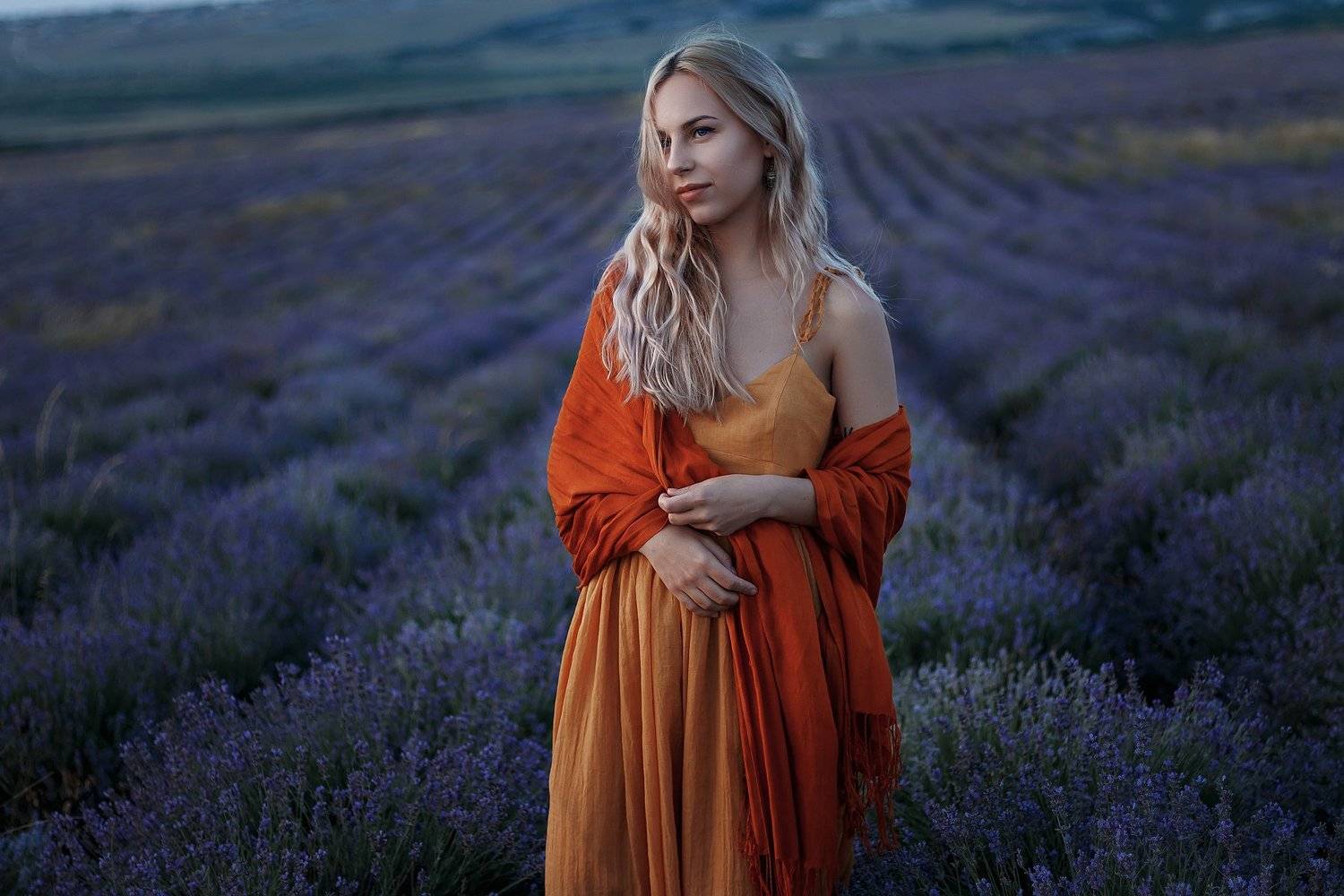 lavender. Автор: Екатерина Аляпина , Екатерина Аляпина