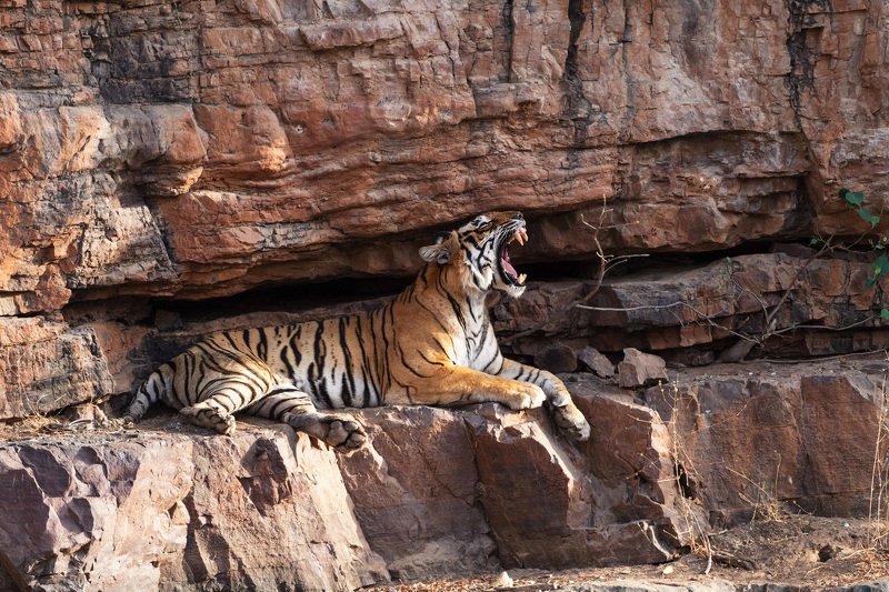 Жаждаphoto preview