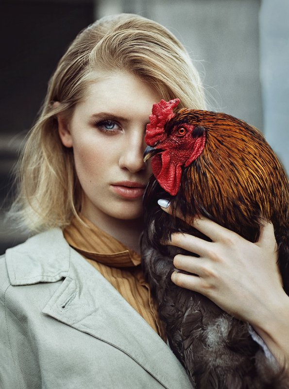 женский портрет, взгляд, петух, девушка, фэшн, гламур, портрет, птицы Полинаphoto preview