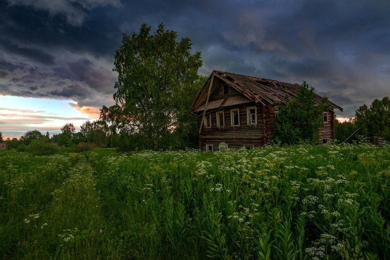 великий двор,вологодчина,кема,север,лето, Стемнелоphoto preview