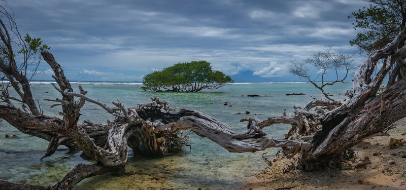 #пейзаж #путешествия #море #отдых #красивый пляж #деревья На острове Гили.photo preview