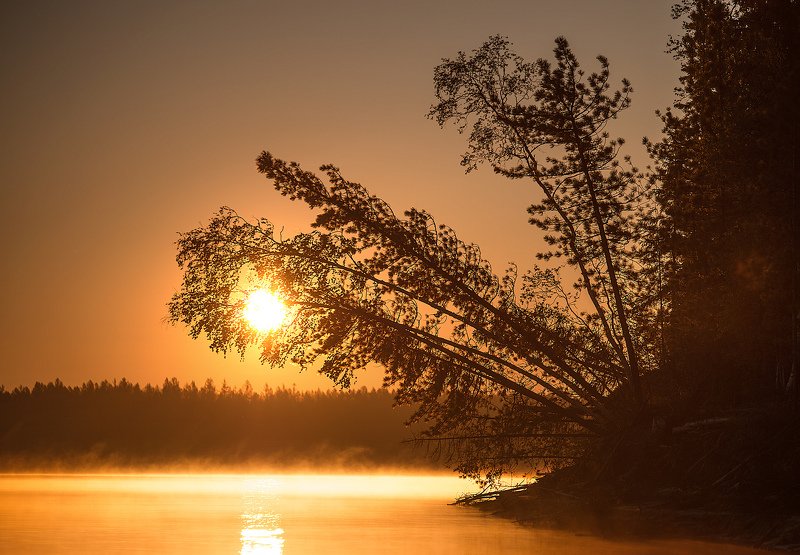 Прожигая утроphoto preview