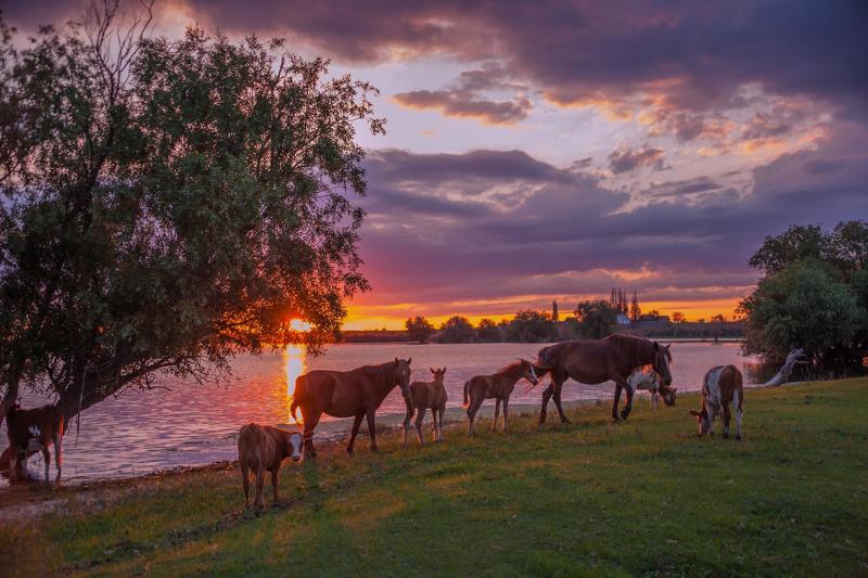 фото сделано у с.зорино  астраханской обл ВЕЧЕР НА ПРОТОКЕphoto preview