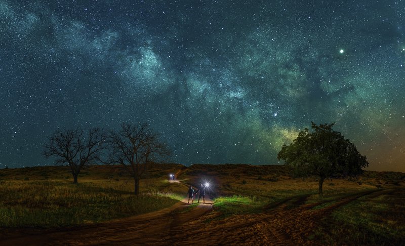 ceclii, nikon d3400 photo preview