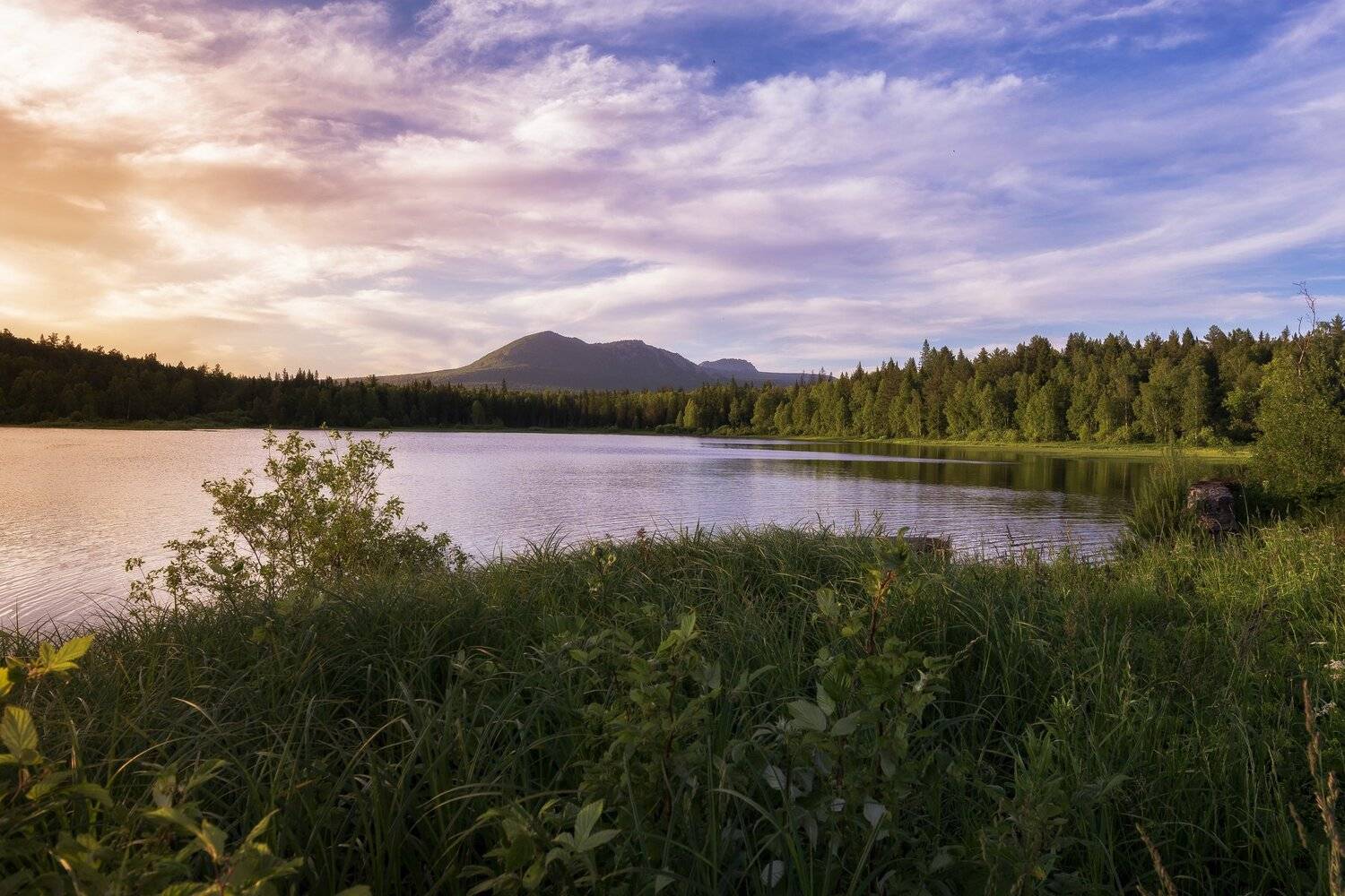 *******. Автор: Андрей Шарапов , Андрей Шарапов