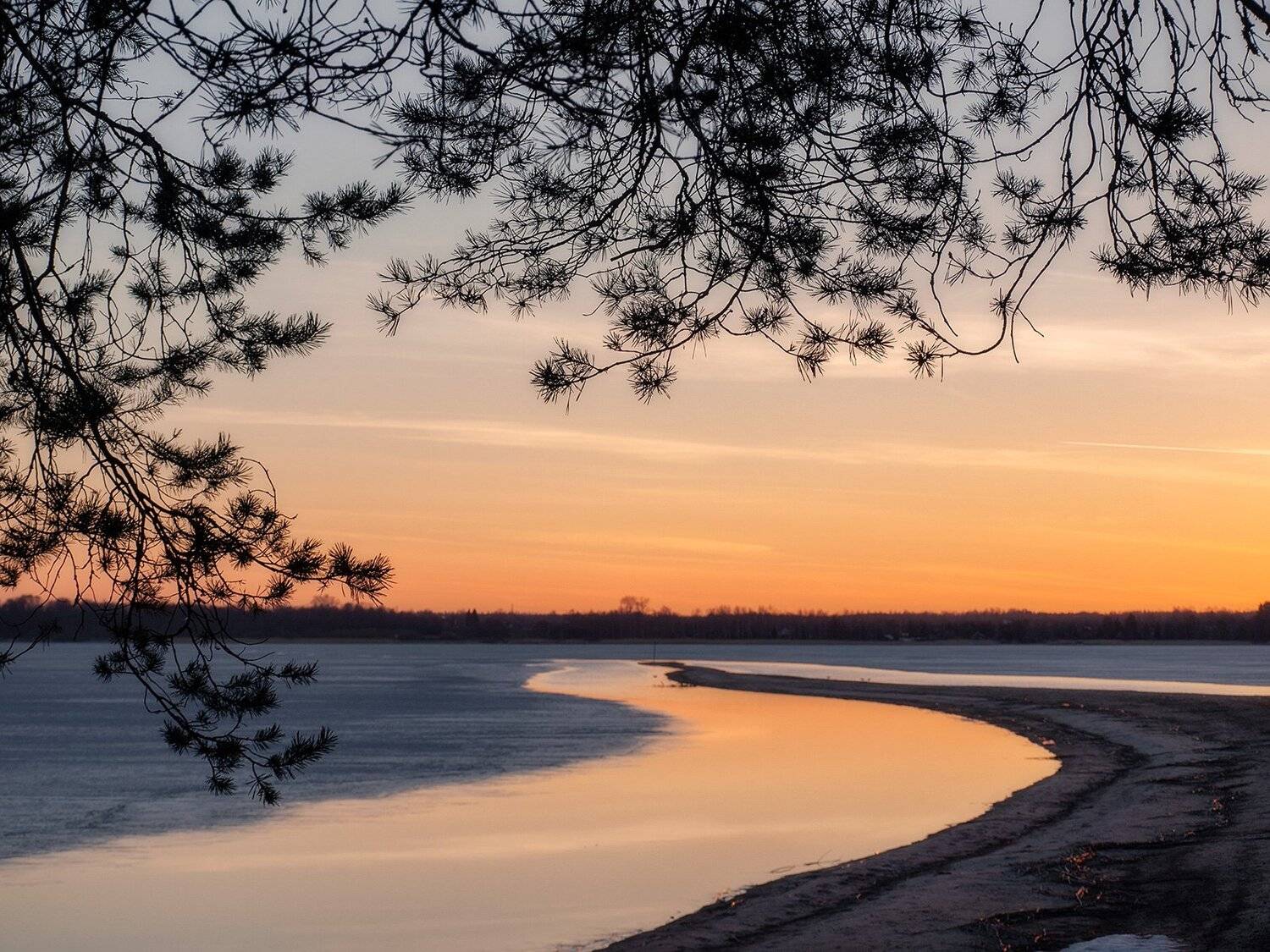 Изгиб. Автор: Федотов Антон , Федотов Антон