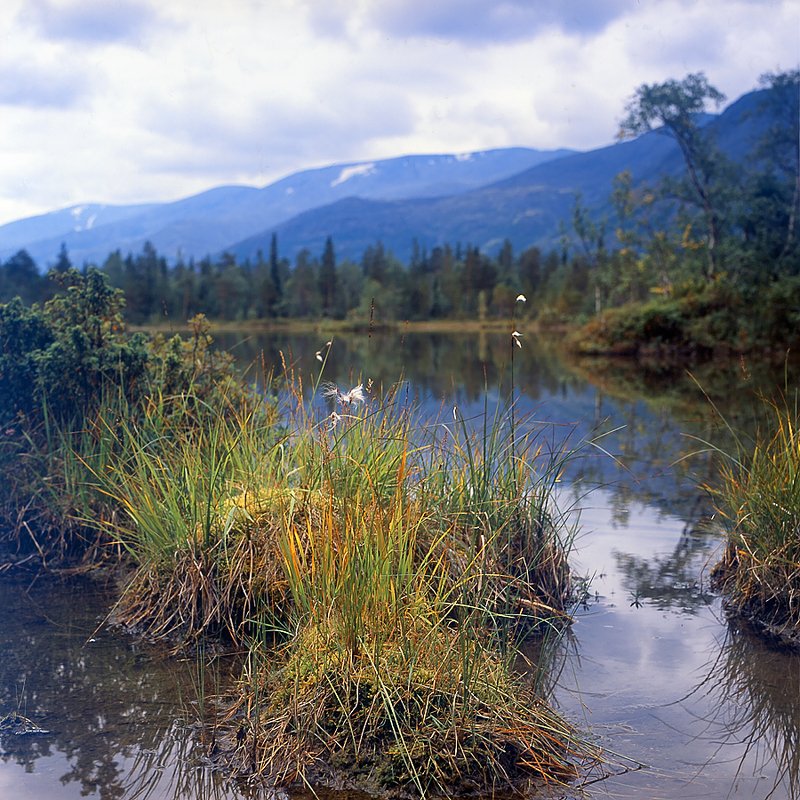 хибинские, тундры, , fujichrome, provia, 100f, arax-60-mlu *photo preview