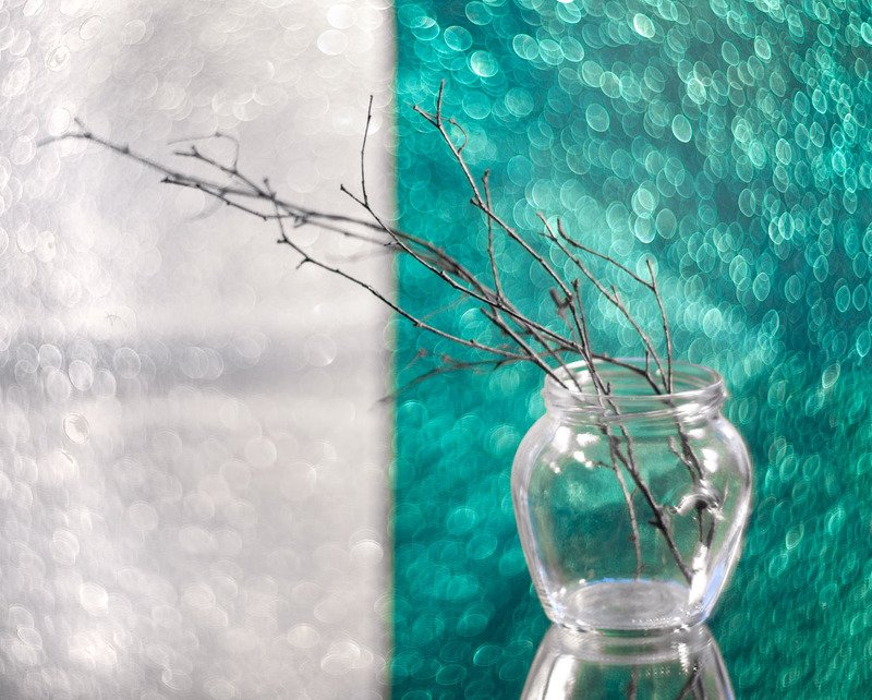 гелиос боке ветка натюрморт стремлениеphoto preview