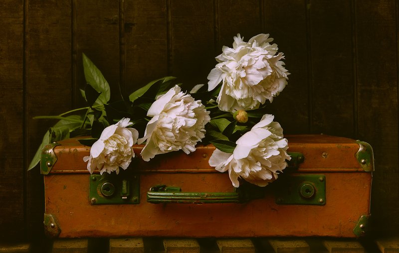 Back to homephoto preview