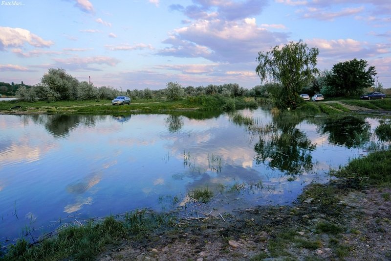 природа,небо,облака ,отражение,взгляд Белокрылые лошадки. фото превью