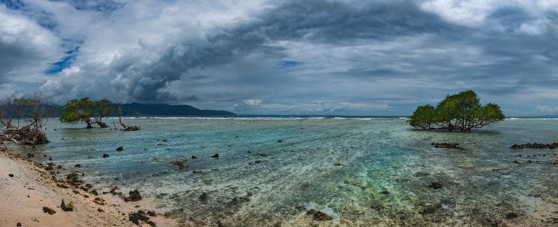 #пейзаж #путешествия #море #отдых #красивый пляж #деревья Начало отлива.photo preview