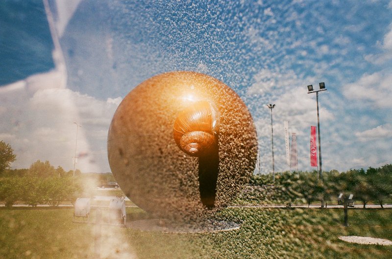 The Survival of the Snailphoto preview