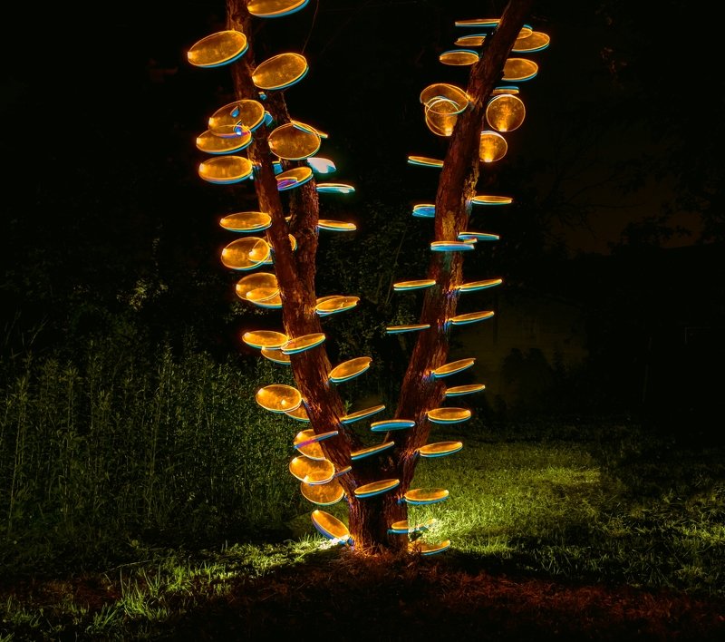 lightpainting, lightart, longexposure, nightphotography, light, night, lightblade Infected mushroom.photo preview