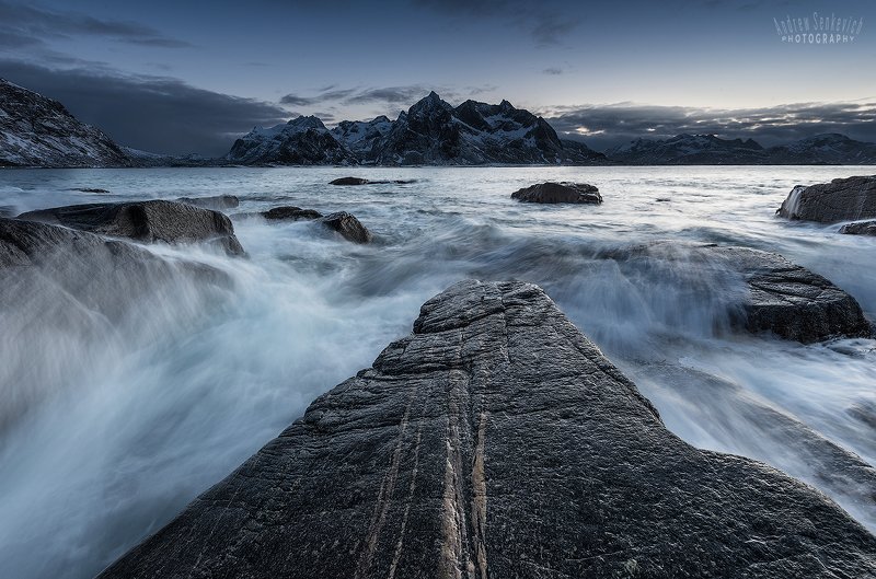 лофотены, lofotens Лофотены. Целеустремленный. =)photo preview