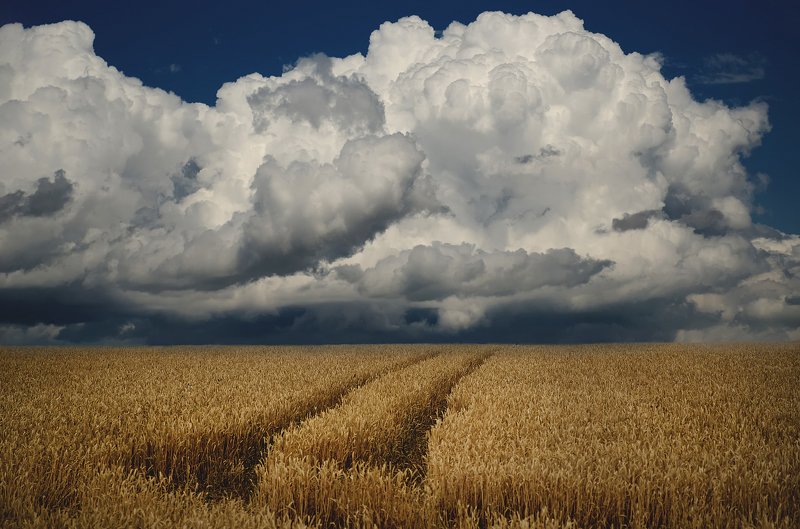 не задолго до дождя. photo preview