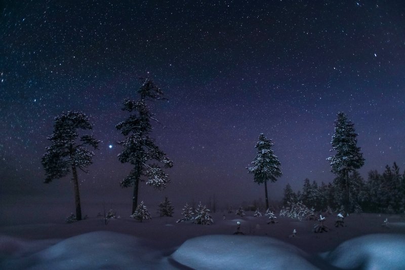 Югра, Север, Ночь, зима, Звезды, красиво, Звездная ночь фото превью