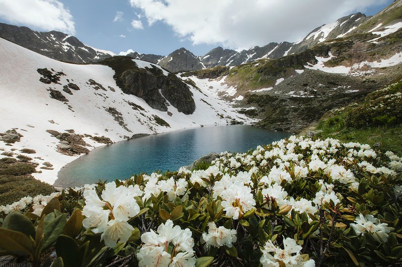 россия, природа, горы, лето, озеро, кавказ, пейзаж, путешествие Дуккинское озероphoto preview