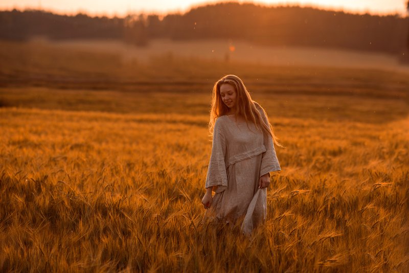 Золотой закатphoto preview