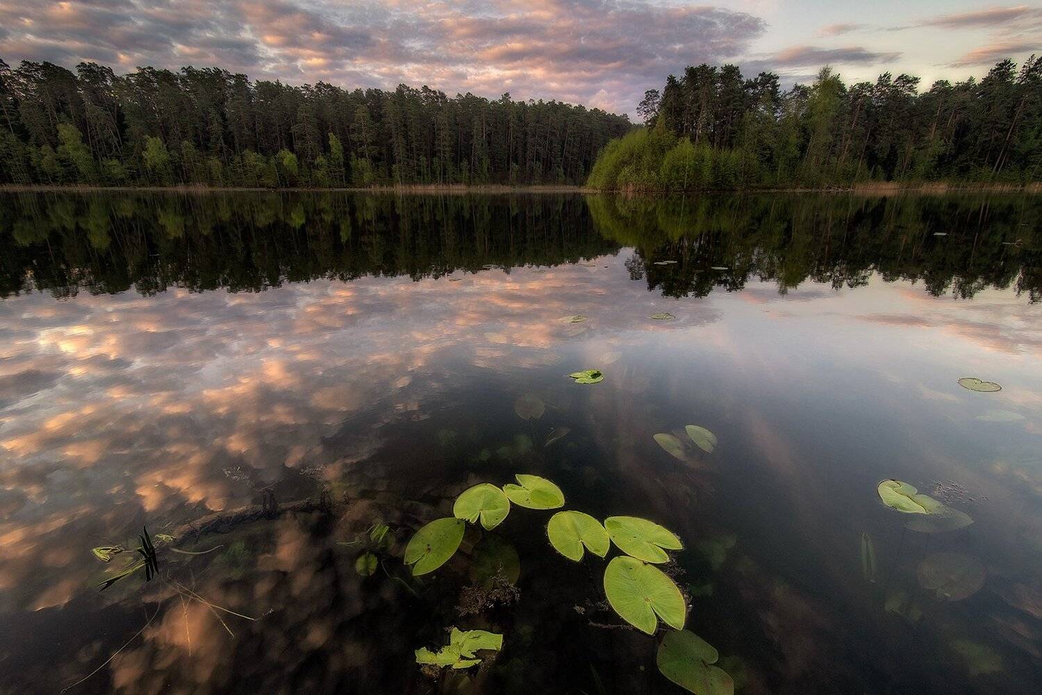 , Федотов Антон