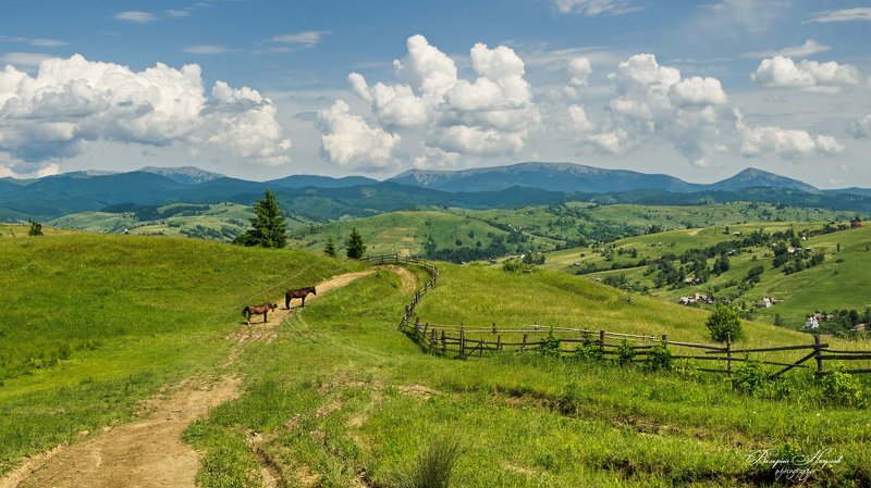 карпаты, лето, горганы, ясиня, дорога, горы Старая дорогаphoto preview