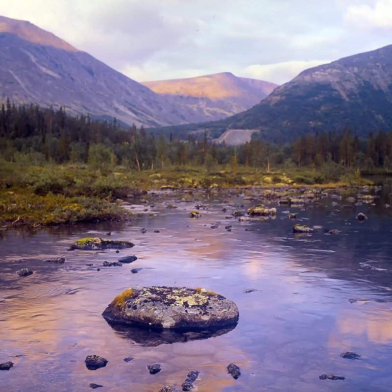 хибинские-тундры  provia100f arax-60-mlu Хибинские тундрыphoto preview