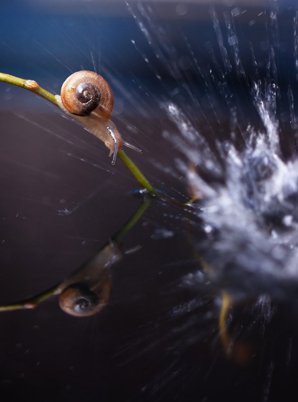 В фонтане брызгphoto preview