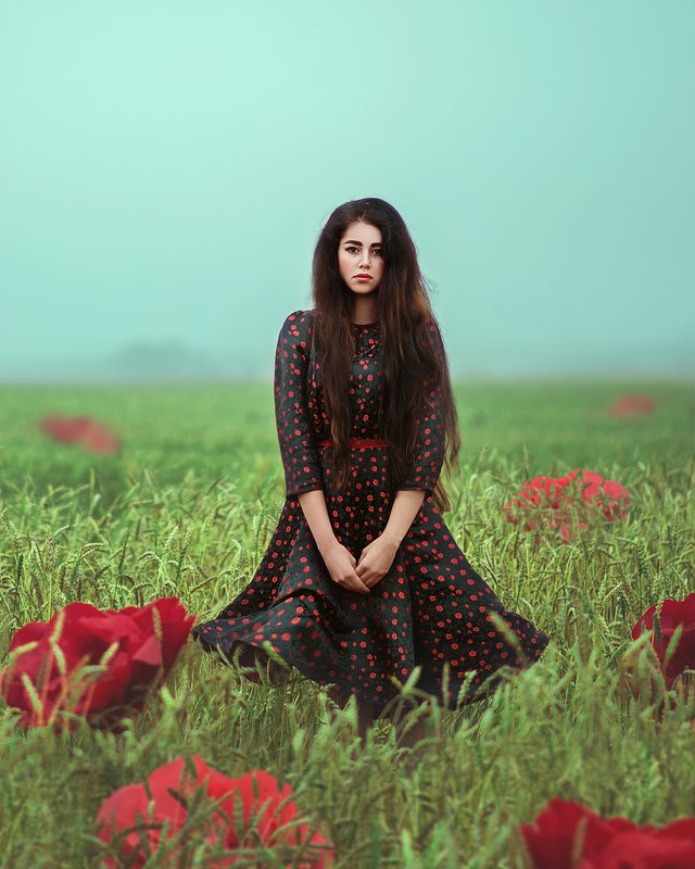 портрет, туман, рассвет, цветы, поле, пшеница, красный, portrait, sunrise, fog, field, summer, woman photo preview