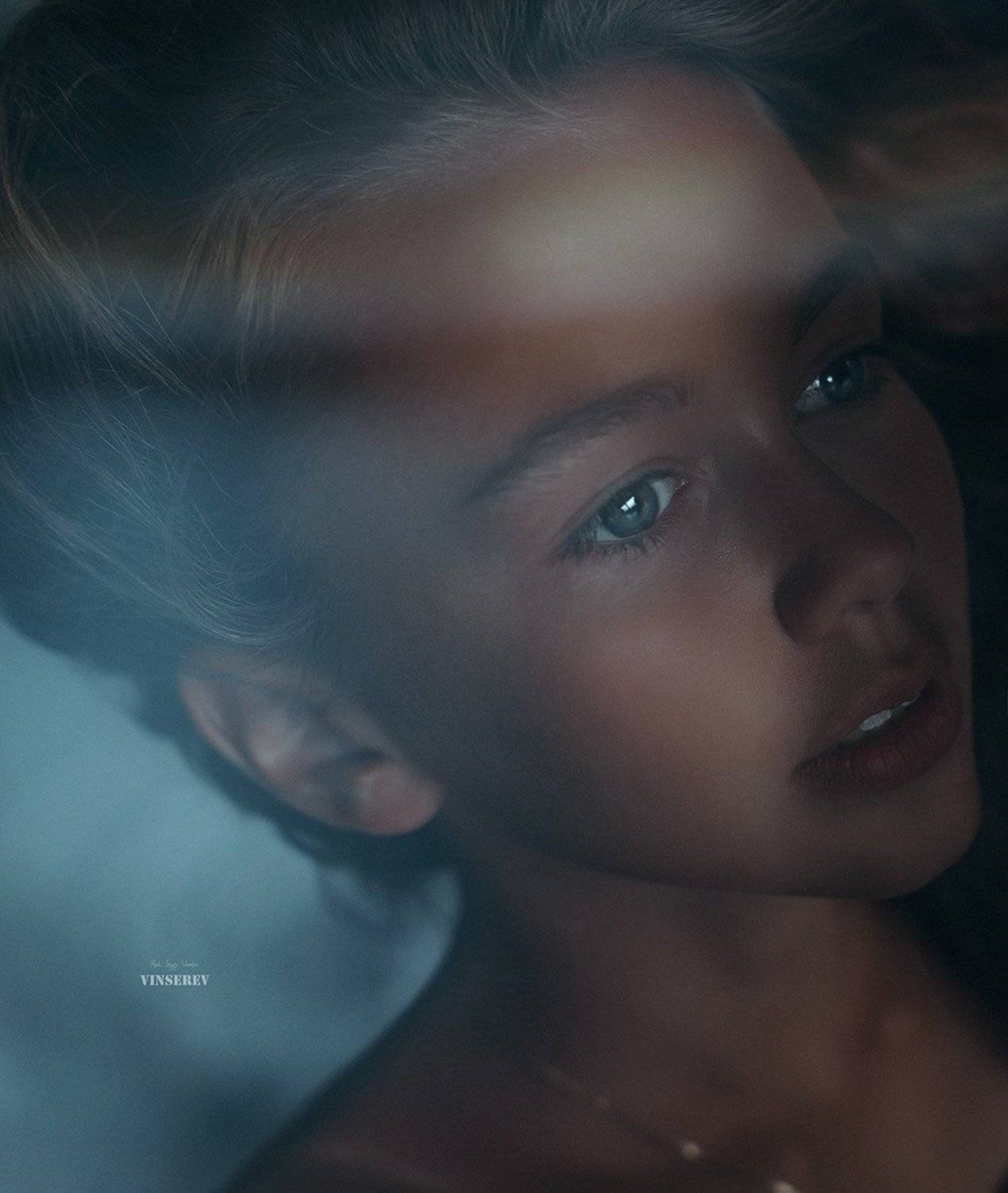 Автор: Винников Сергей , Винников Сергей